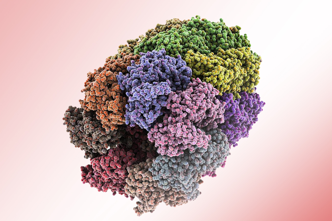 Современный статус бета-2-микроглобулина в диагностике и терапии опухолей