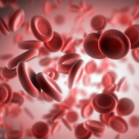 Железодефицитная анемия - Многопрофильная медицинская клиника- центр  современной педиатрии