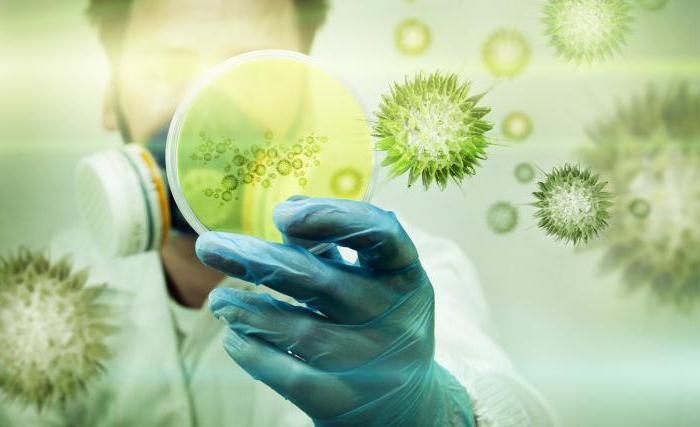 Анализ на флороценоз - что это такое? Расшифровка, норма, отклонения ::  SYL.ru