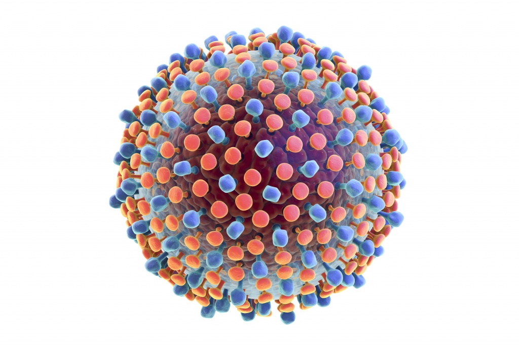 Методические рекомендации по профилактике вирусного гепатита С