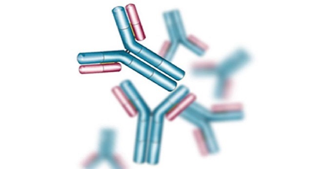 Иммуноглобулин E (IgE) общий &ndash; что это за анализ и для чего он делается?