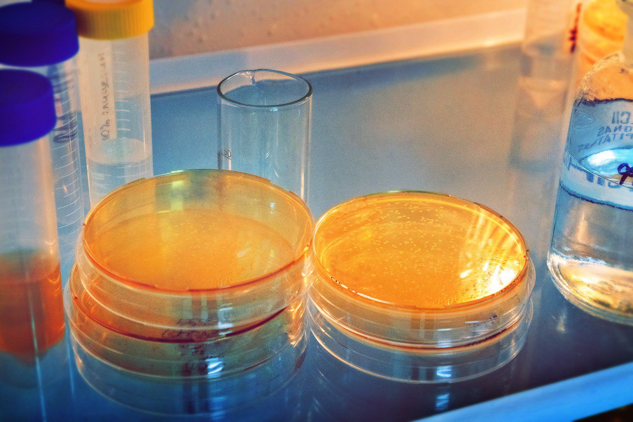 Разработан сверхбыстрый способ определения чувствительности к антибиотикам