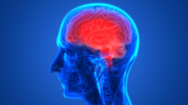 Распространённость анти-NMDA рецепторного энцефалита у пациентов с первым  психотическим эпизодом и резистентной шизофренией - Новости - РОП