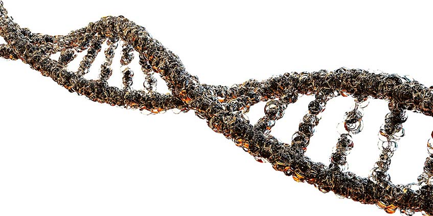 Генетические факторы риска аллергии