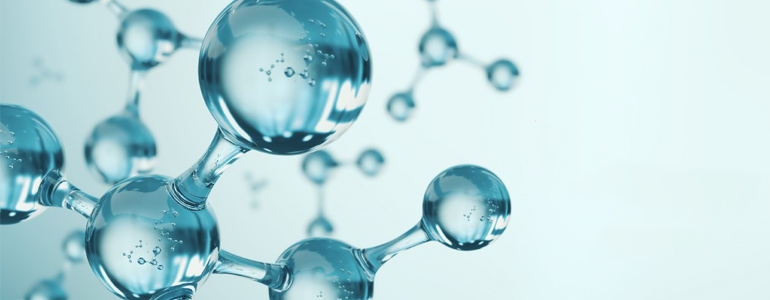 Белковые фракции (заказ вместе с общим белком)