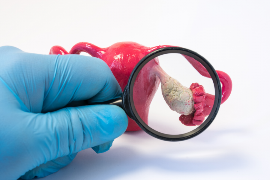 ЭКО при низком АМГ (антимюллеров гормон): норма гормона, как проводится ЭКО  - Клиника 9