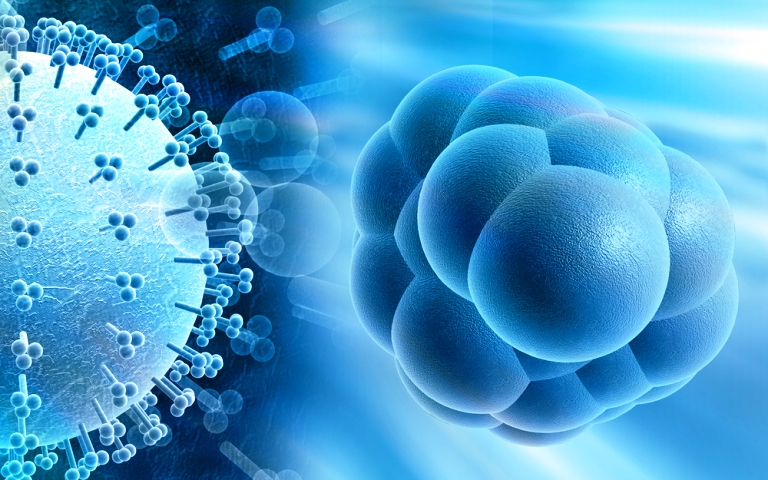 Цитомегаловирус (Cytomegalovirus, CMV) (определение ДНК), (качеств.)