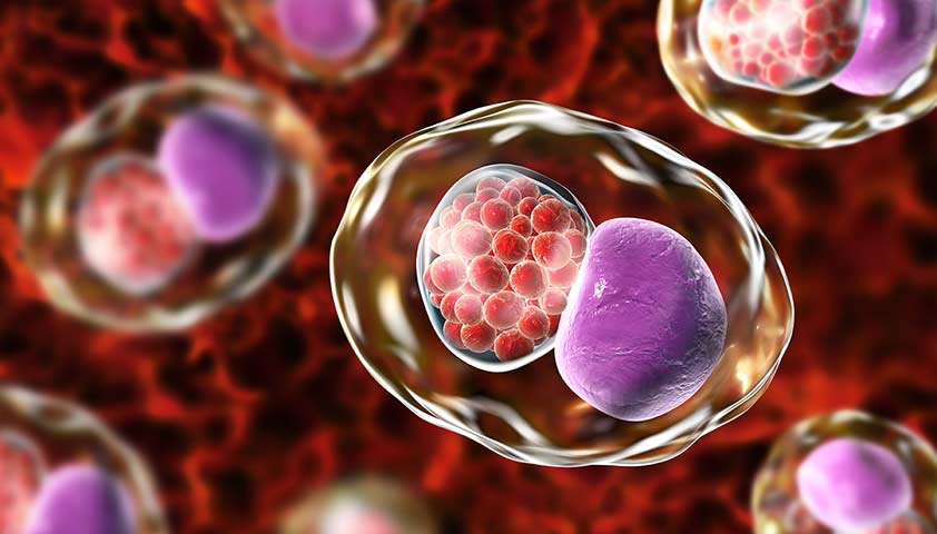 Заболевания, передаваемые половым путём (ЗППП/ИППП) &mdash; что это, симптомы,  лечение