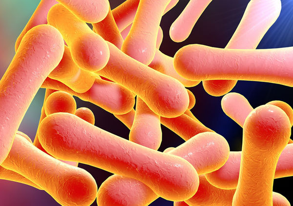 Патофизиологические и патологоанатомические аспекты дифтерии