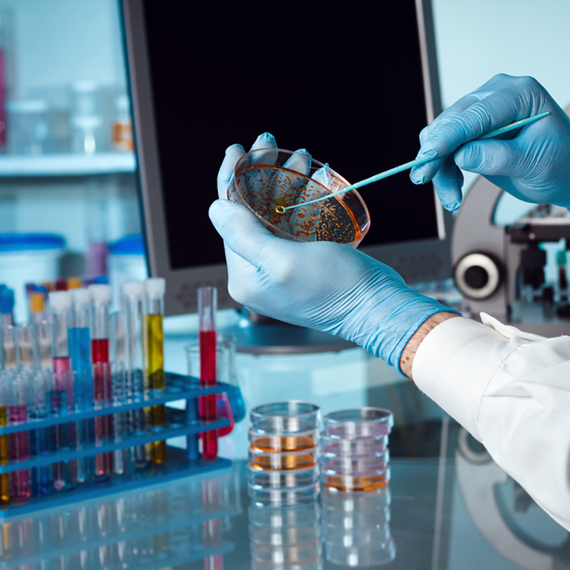 Посев на возбудителей дерматомикозов (Trichophyton spp., Microsporum spp.,  Epidermophyton spp.) без определения чувствительности к антимикотическим  препаратам - ПроМед Самара